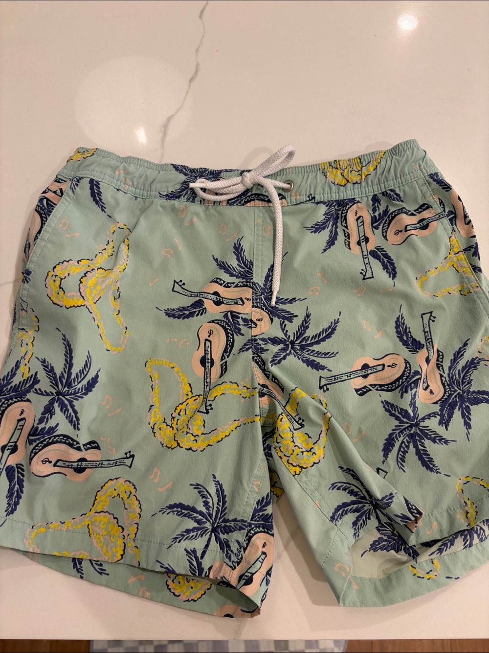 J. Crew Mint Green Tropical Guitar Print Swim Trunks